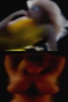 Horny married women
