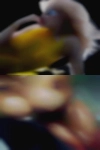 Sex clubs locations