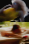Dogging fuck galleries
