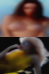 Swingers pen pals Texas