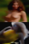 Swingers