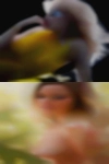 Maine swinger wives